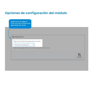 Alternative view of General Conditions of Sale and Contract Module